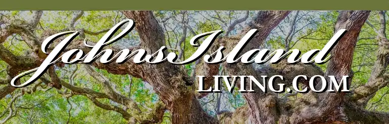 Johns Island Living header graphic. Angel Oak Photo by Kim Elliott.